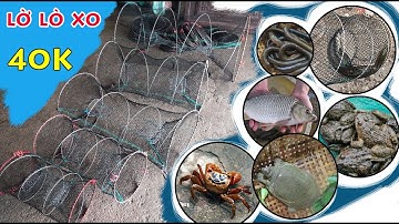 40k/1c (Miễn Ship) Lồng Lò Xo Bắt Tôm , Cua , Cá , Rắn , Ếch ,  Rùa , Baba , Lươn , Trạch Lờ GIÁ RẺ