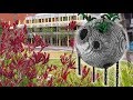 Timelapse: University Final Project 'Moon' and a small real life tour!