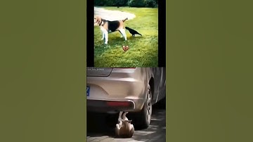 Give this video a title (wrong answers only) #shorts #funny