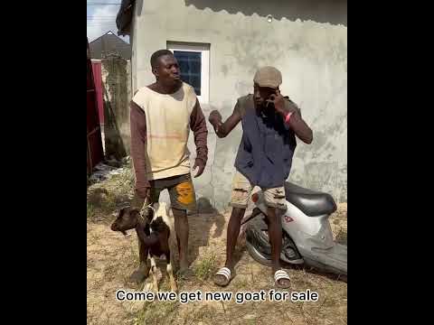 The secret ground #video #explore #viralvideo #funny #trending #africa