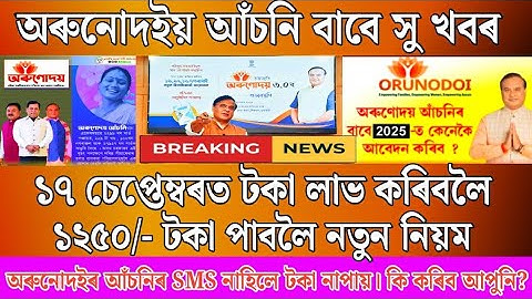 Orunodoi Scheme 3.0 New apply Started 2025 | Orunodoi Scheme New Form Fill up full process 2025-2026