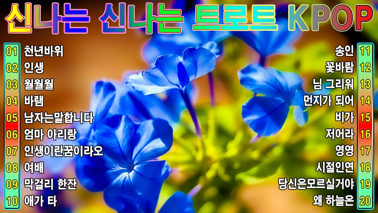 [ TOP ] 신나는 신나는 트로트 KPOP (TROT) PLAYLIST ☘️ ( 꽃길.상사화.여인의 눈물.회룡포.바람길...) 