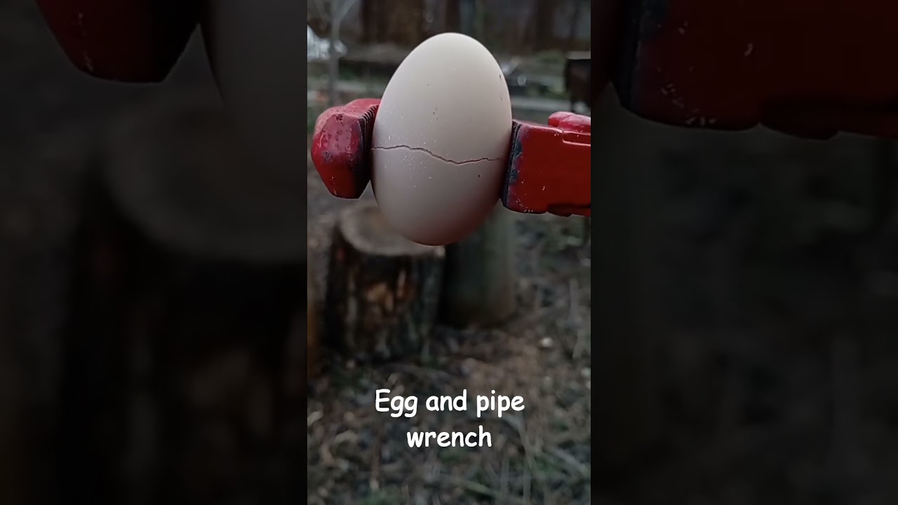 egg vs pipe wrench