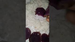 purple sweetpotato || #food #purple #healthylifestyle #shackysong #viral #love #india #kandy #snack