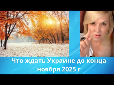 What Should Ukraine Expect Until The End Of November 2025 Elena Byun