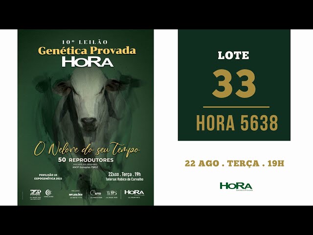 LOTE 33: HORA 5638 - EL ZORRERO x REM ARMADOR