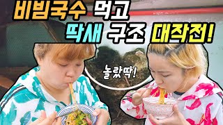 직접 키운 채소들로 만든 비빔국수!! 그리고 딱새 구조 대작전!! (Country Story of City Couple EP.410)