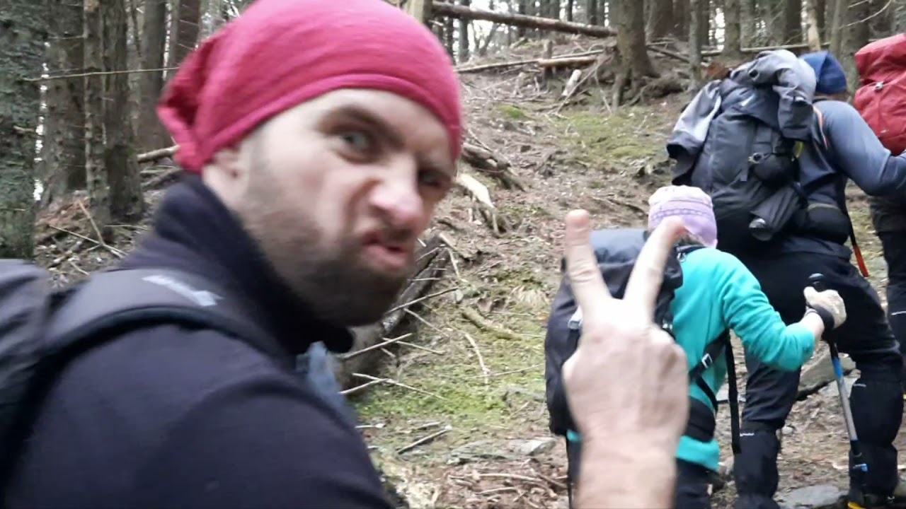 MOIECIU de SUS 1000 m - valea BANGALEASA - saua BUCSA 1780 m - vf. BUCSA 1846 m