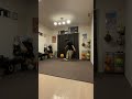 リフティング3回跨ぎPATW
