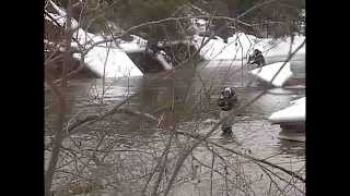 Unusual Weather Doesnt Hinder Steelhead Opener