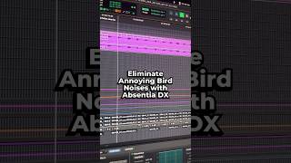 Celebrity 🔇 Quiet those chirpy birds like a pro with Absentia DX! #dialogueedit #audiopost #sounddesign Net Worth