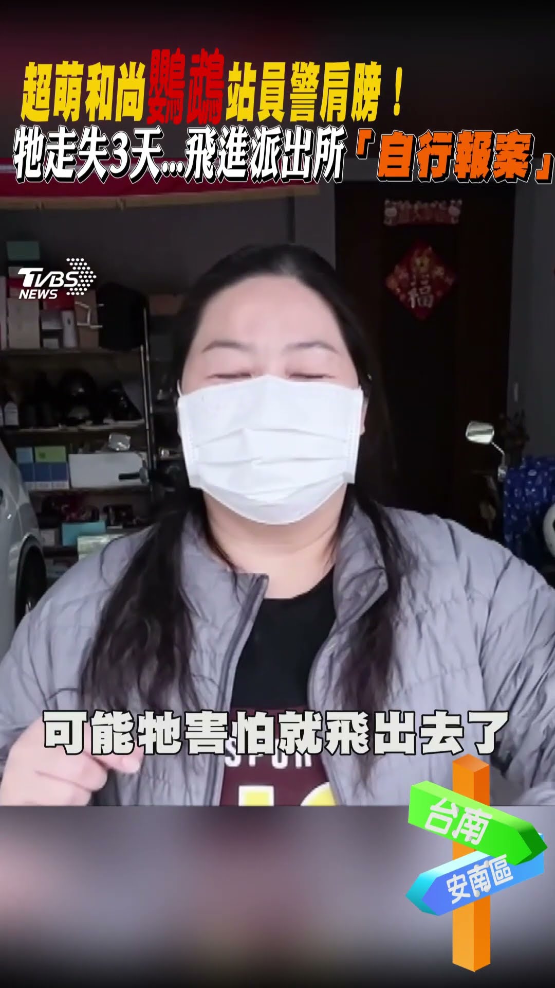 超萌和尚鸚鵡站員警肩膀!牠走失3天...飛進派出所「自行報案」｜TVBS新聞 #shorts @TVBSNEWS01