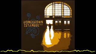 BaBa ZuLa - Zula Benzetmesi (Homegrown Istanbul, Vol.2 - 2008) Resimi