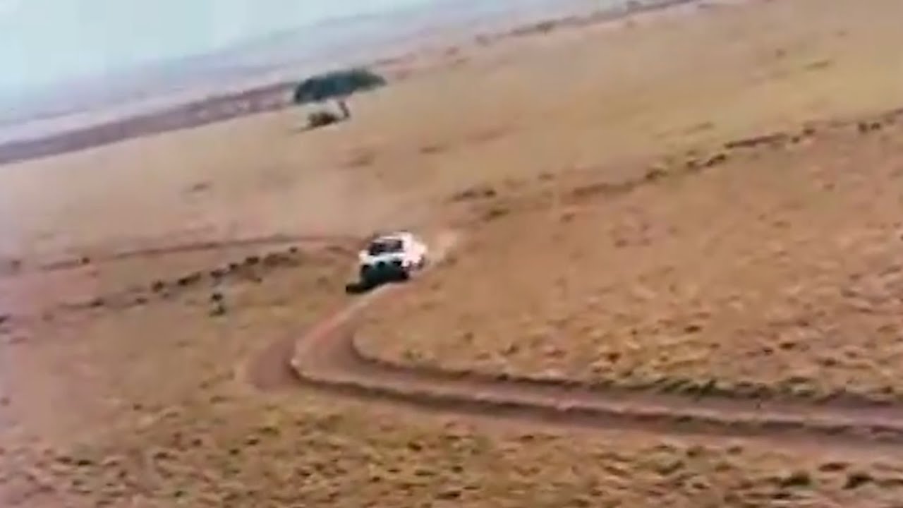 Safari Rally 1979 - African Odyssey
