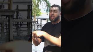 Sortez Les Pop-Corns La Bataille, La Malédiction De Lîle