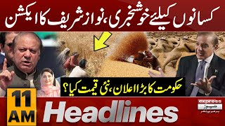Good News For Farmers | News Headlines 11 AM | Latest News | Pakistan News