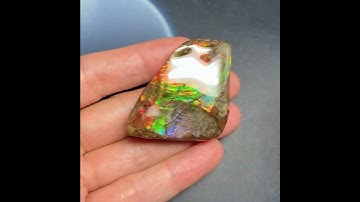 Ammonite Ammolite Authentic Canadian Gemstone Fossil   #ammolite #gemstone #ammonite #naturalgems