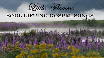 7 Hours Soul Lifting Gospel Songs - Little Flowers. Beautiful Playlist by Lifebreakthrough