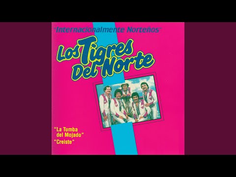 Video: Los Tigres Del Norten nettoarvo: Wiki, naimisissa, perhe, häät, palkka, sisarukset
