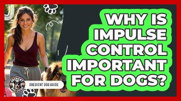 Why Is Impulse Control Important For Dogs? - Obedient Dog Guide