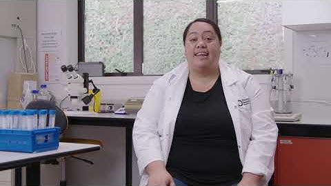 Brown Marmorated Stink Bug (BMSB) monitoring