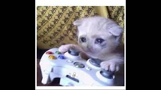 Bergen Sen Affetsen Ben Affetmem Featserdar Yabanci Deği̇li̇m