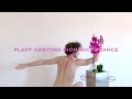 Honevo 24  plant orbiting biomimicry dance