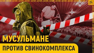 «Провокацией и преступлением» назвали мусульмане строительство свинокомплекса