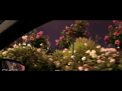 الوادم ينشدون عنك يسألون