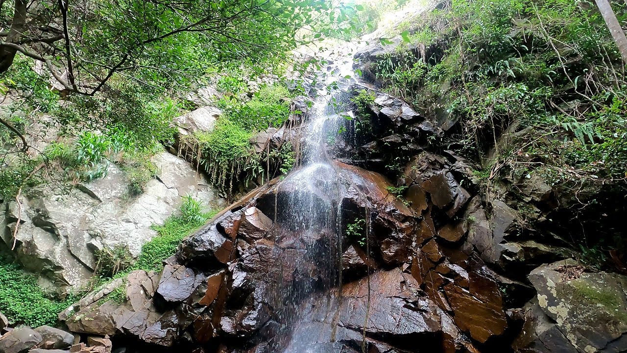 A Hidden waterfall in Tamborine Mountains YouTube