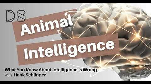 What You Know About Intelligence is Wrong