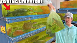 Saving LIVE Fish & Eels From FOREIGN FOOD MARKET! screenshot 5
