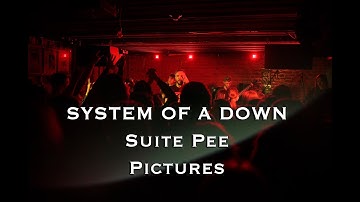 System of a down - Suite Pee | Pictures (Live Cover by NHLST)