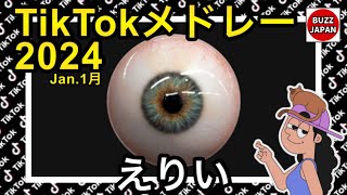 【TikTok】2024🇯🇵ティックトックメドレー【えりい】Jan.1月【視聴者様リクエスト】