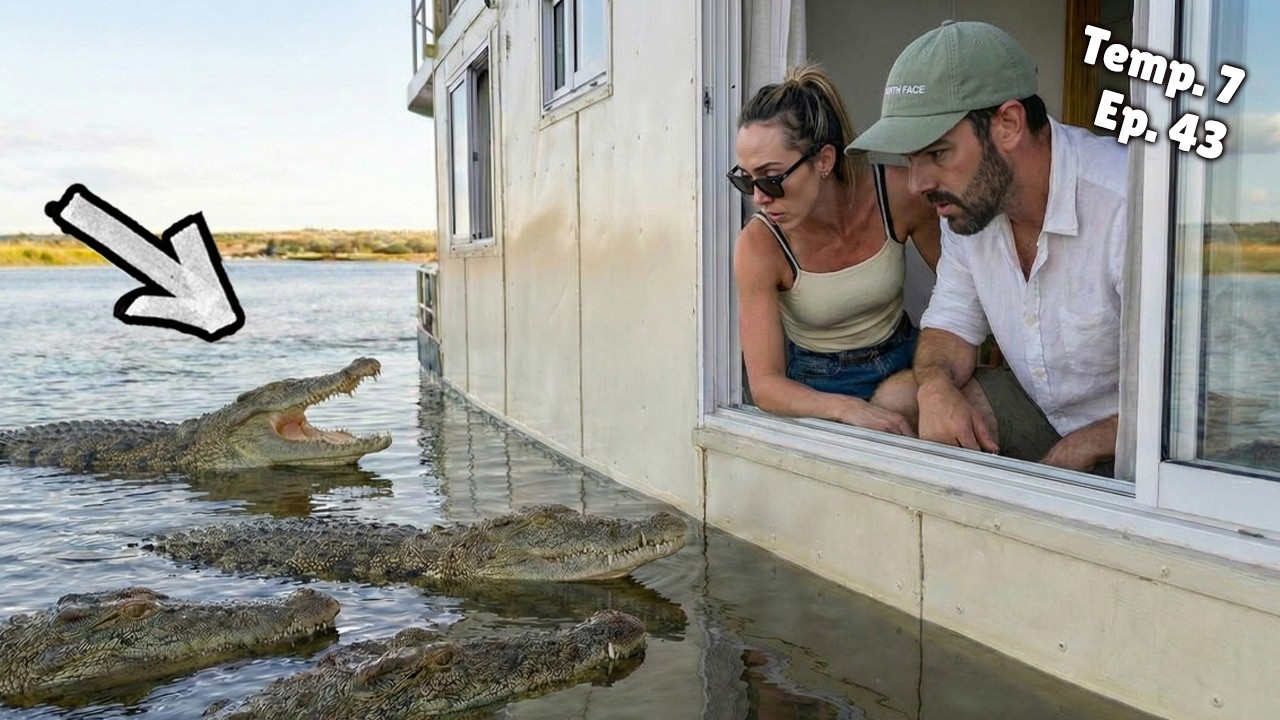 Passamos 2 noites dormindo em um rio lotado de crocodilos gigantes