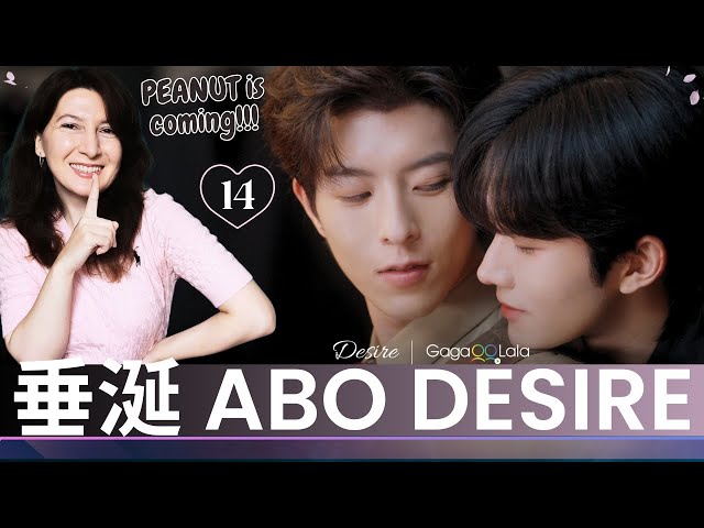 垂涎ABO Desire | Episode 14🍂Reaction (CUT) Eliot Huang; Kipuka