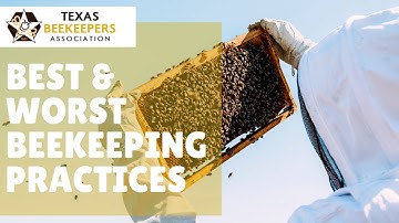 Top 5 Best Worst Beekeeping Practices - presented by Bee Informed Partnership