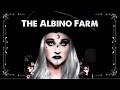 The albino farm