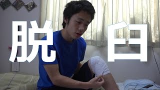 シルク怪我(脱臼?)をおってまともに歩けぬ…。