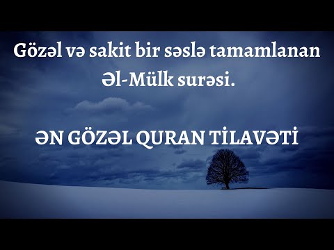 Gözəl və sakit bir səslə tamamlanan Əl-Mülk surəsi. ƏN GÖZƏL QURAN TİLAVƏTİ