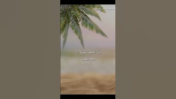 سورة التكوير من آية 1 إلى آية 17 بصوت الشيخ ياسر الدوسري❤❤