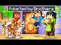 Adopted by Encanto Brothers In Minecraft!