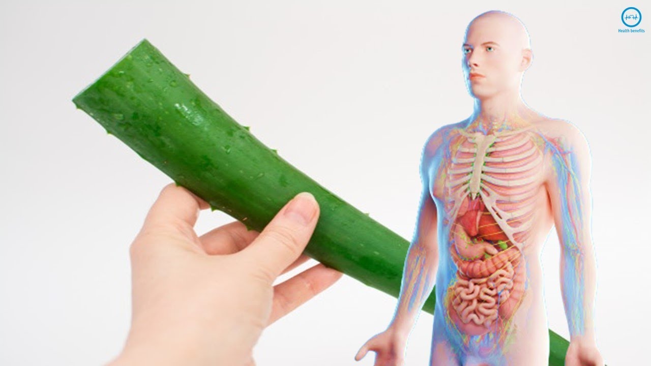 7 Powerful Benefits of Aloe Vera for Men's Health YouTube