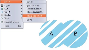 Understanding Additive Subset File Interspersion In Supermemo