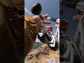 【神秘の海岸】岩礁と山々に囲まれた静寂の釣り旅🎣🏞️カラビナの魔法で装備を固定!