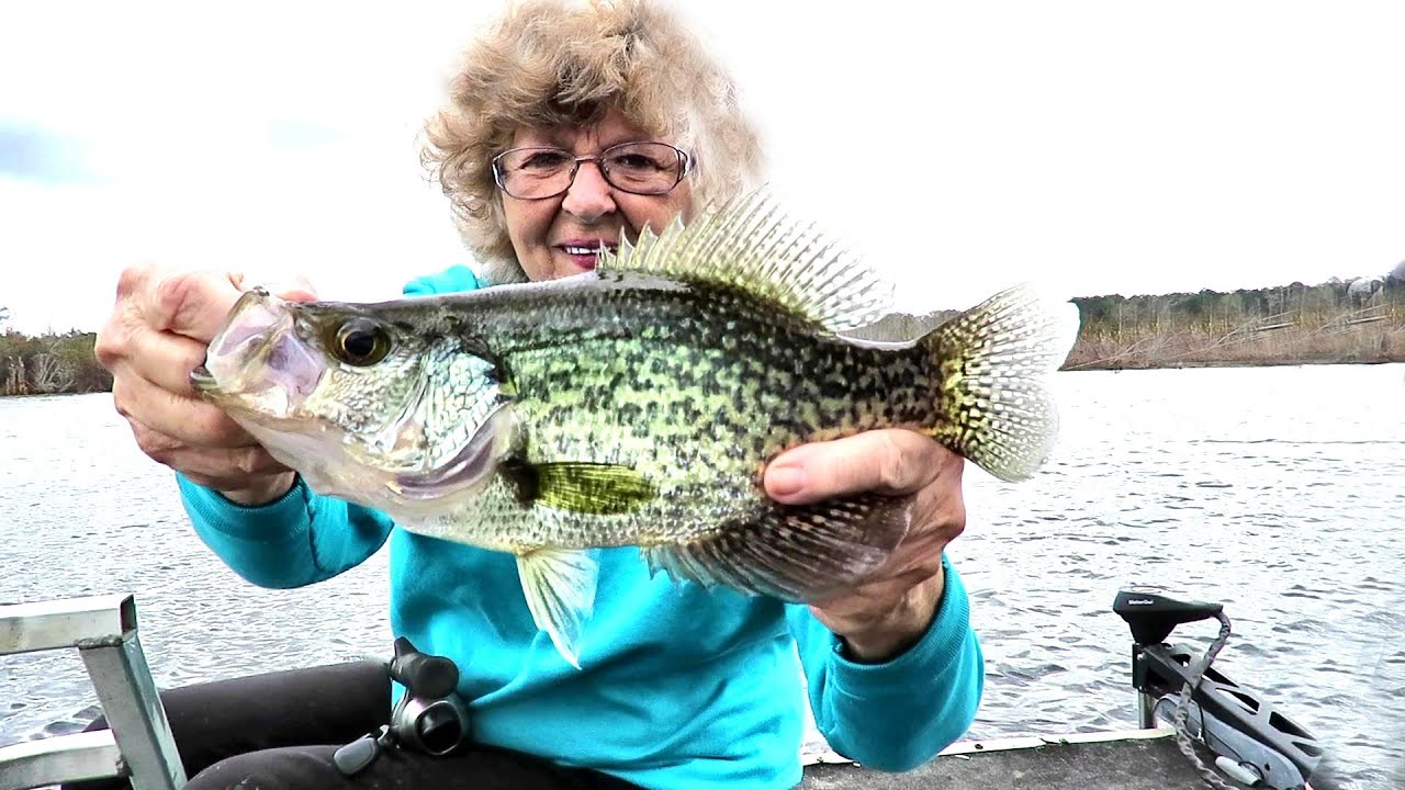 Fishing White Perch Or Crappie What fun With Grandson In Ga. YouTube