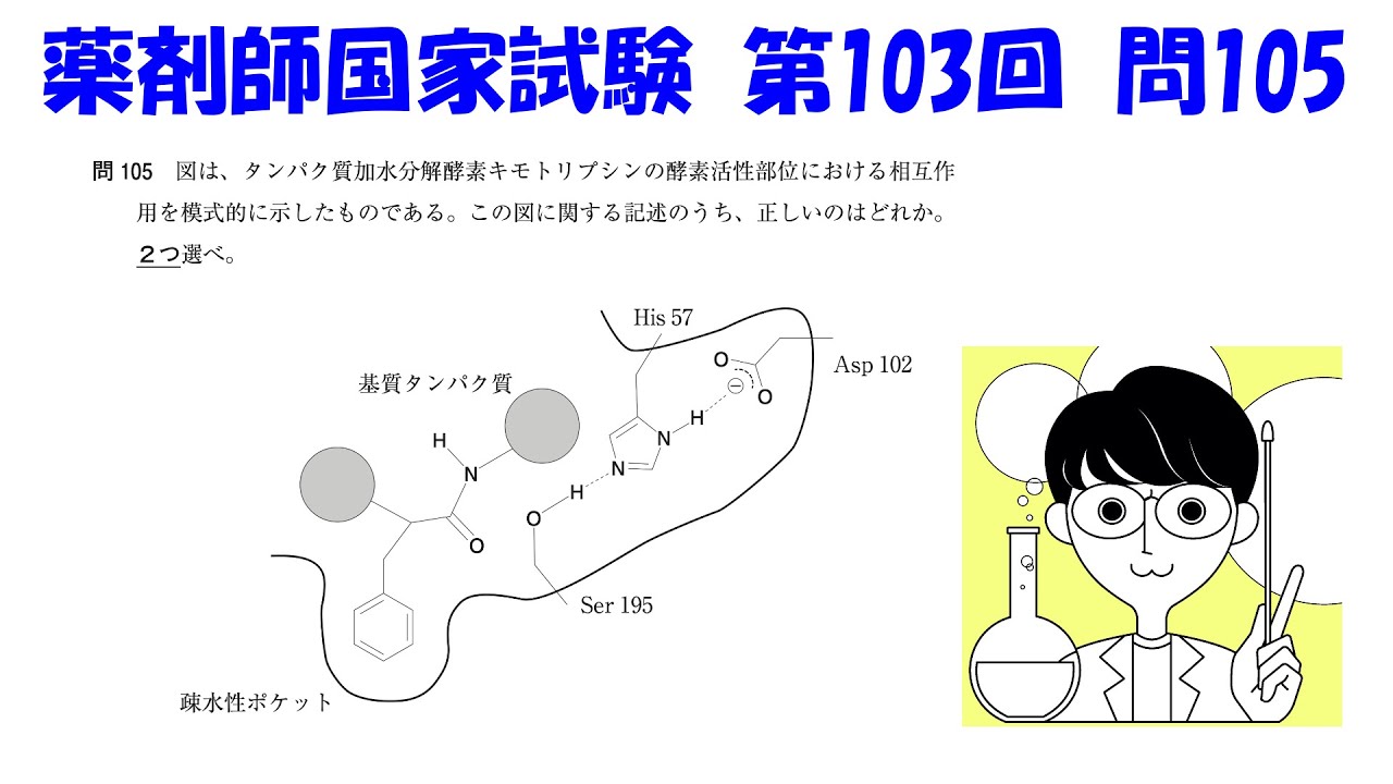 薬剤師国家試験 第103回 問105】酵素と基質の相互作用について考えよう