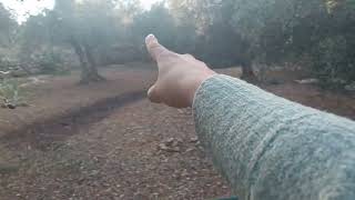 A Complete Walkthrough of Our Property and the Current State