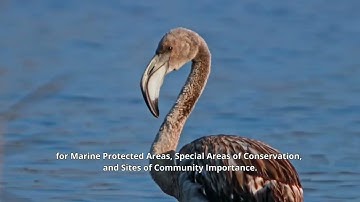 Video presentation of the TRITON project – Interreg Europe 2021/2027