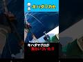 ビギナーズラックでキハダマグロが２本‼